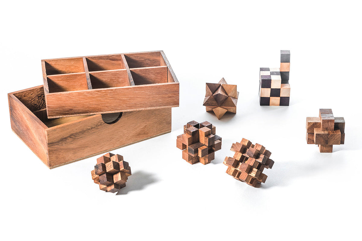 6 STEM Puzzle Gift Set - Wooden Puzzle Brain Teaser