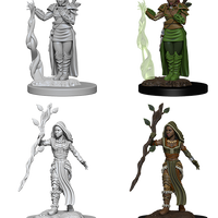 D&D: Nolzur's Marvelous Miniatures - Human Female Druid