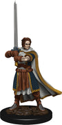 D&D: Icons of the Realms - Human Cleric Male Premium Figure