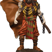 D&D: Icons of the Realms - Human Druid Male Premium Figure