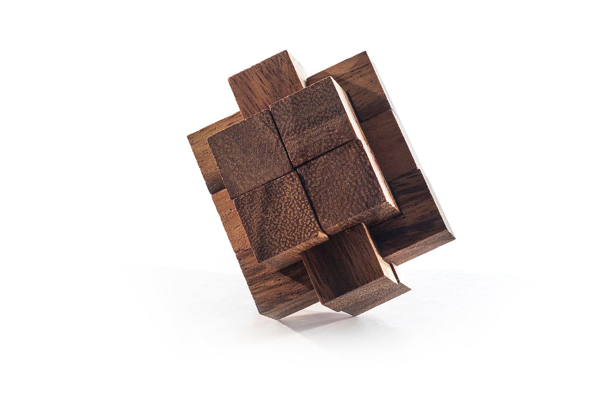 IX Burr Puzzle