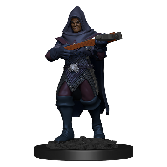 Pathfinder: Deep Cuts - Human Rogue Male