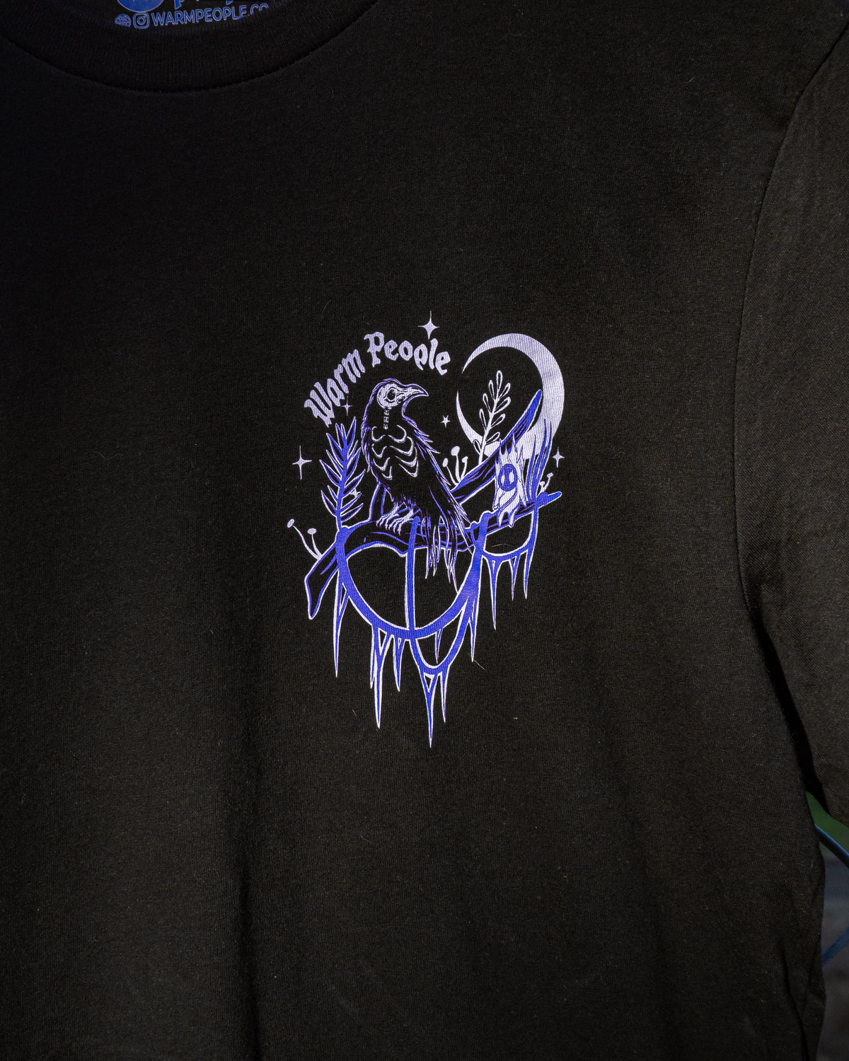 Black Forest – Witch & Skeletal Raven Screen-Printed Unisex Gothic T-Shirt