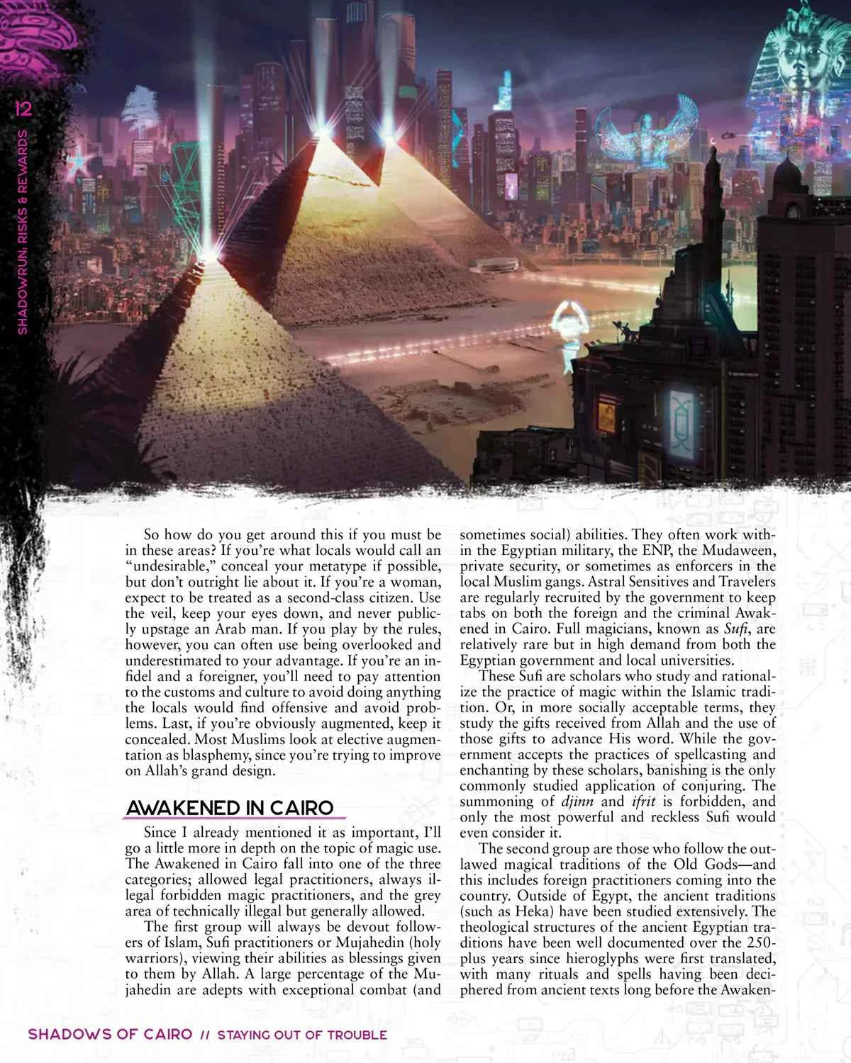 Shadowrun RPG: Risks & Rewards (6E)