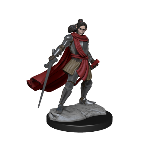Critical Role: Half-Elf Paladin Xhorhas Female