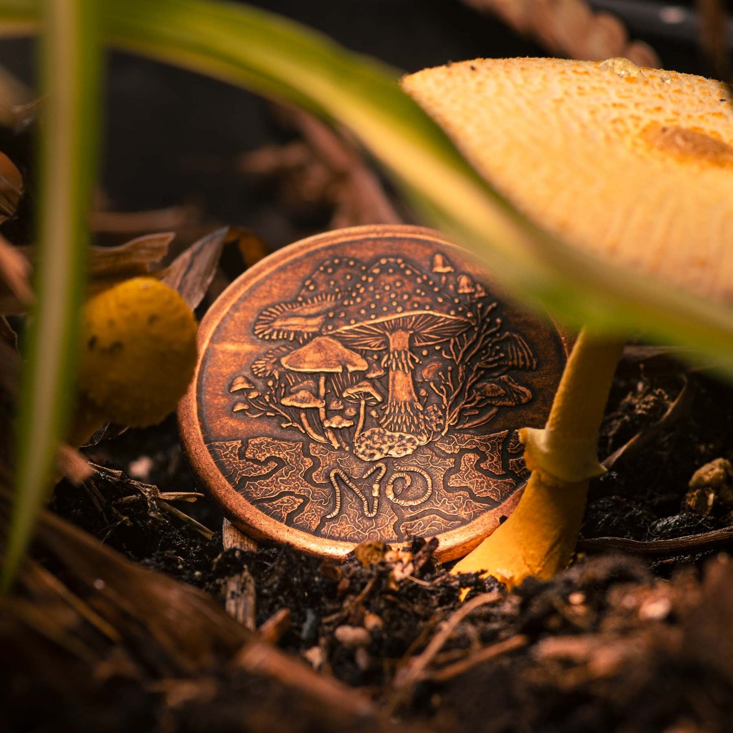 Fungible Token Decision Maker Coin in Solid Copper