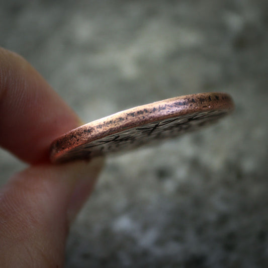 Helm of Awe Copper Coin - Aegishjalmur - Warrior's Stave Viking Coinage