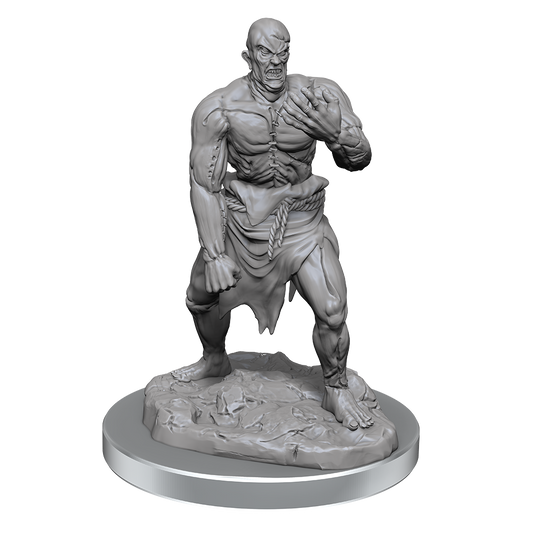 D&D: Nolzur's Marvelous Miniatures - Flesh Golems