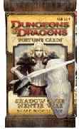 WOC31602 Shadow Over Nentir Vale Booster Fortune Cards DnD
