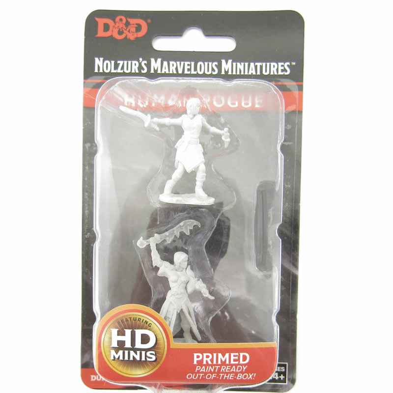 WZK73831 Female Human Rogue Nozurs Marvelous Miniatures D&D Unpainted