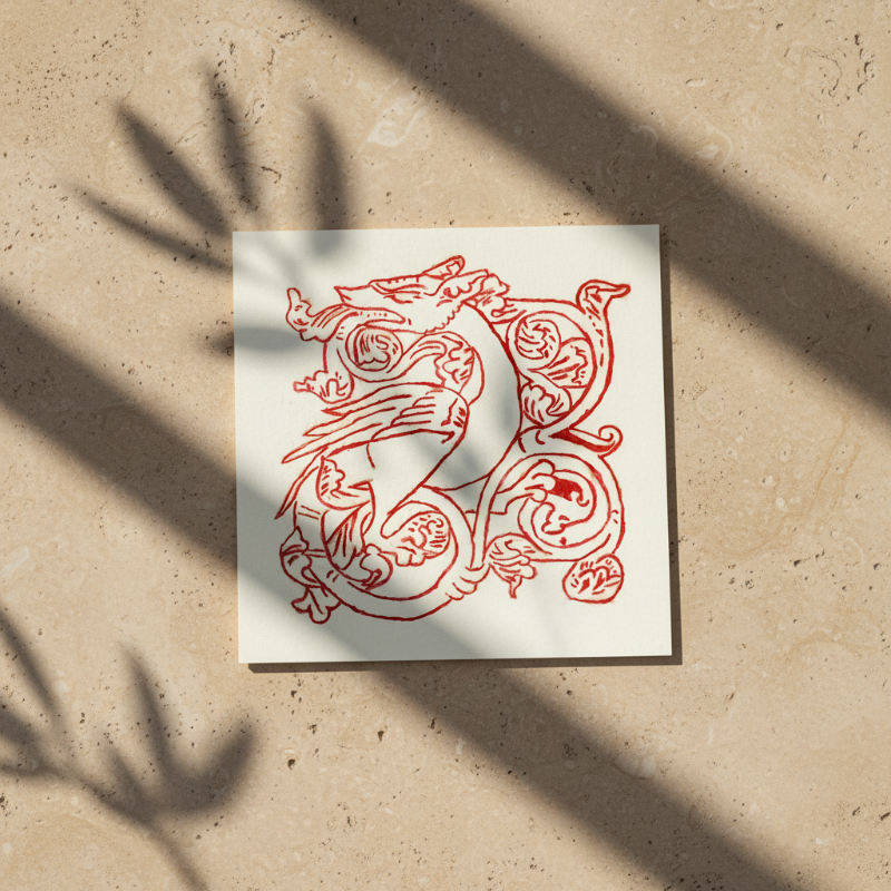 Dragon Marginalia Fine Art Print Medieval Decor