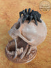 Desert's Kiss Skull 3D Printed Dice Tower