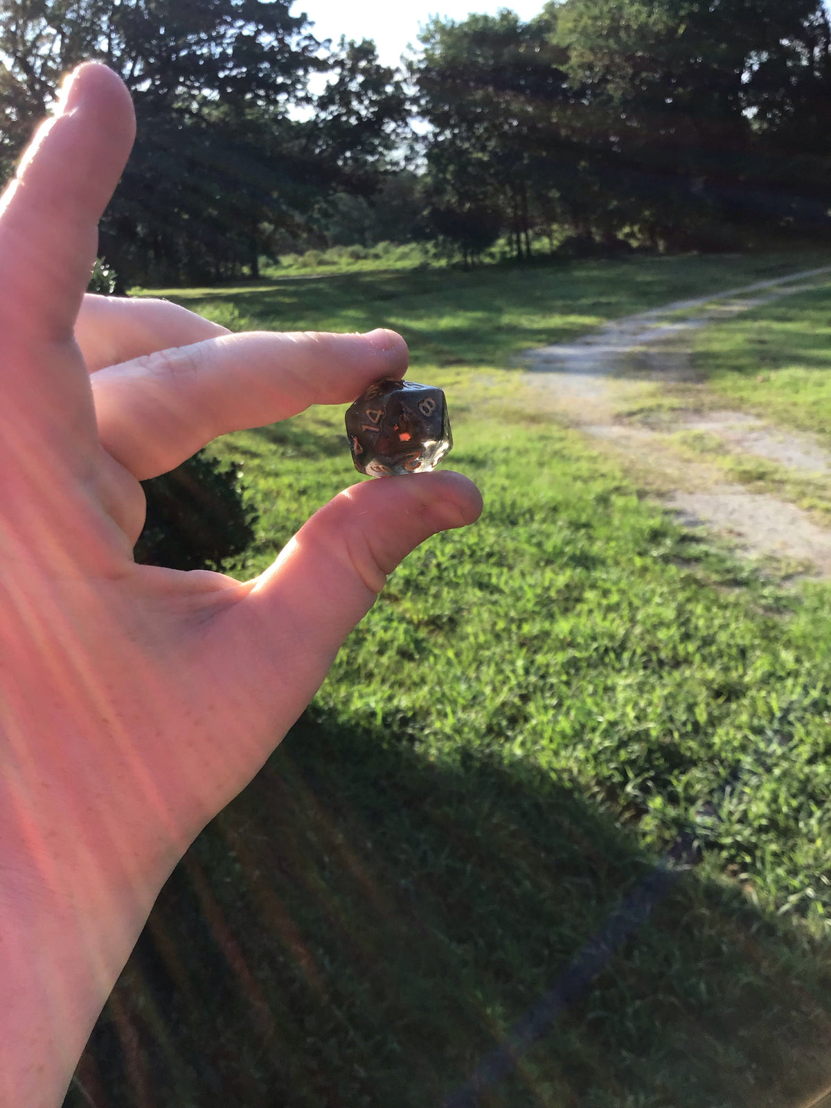 Caleb Widogast Inspired D20 – Handmade Blood-Red Color-Shifting Gaming Die with Holographic Flame