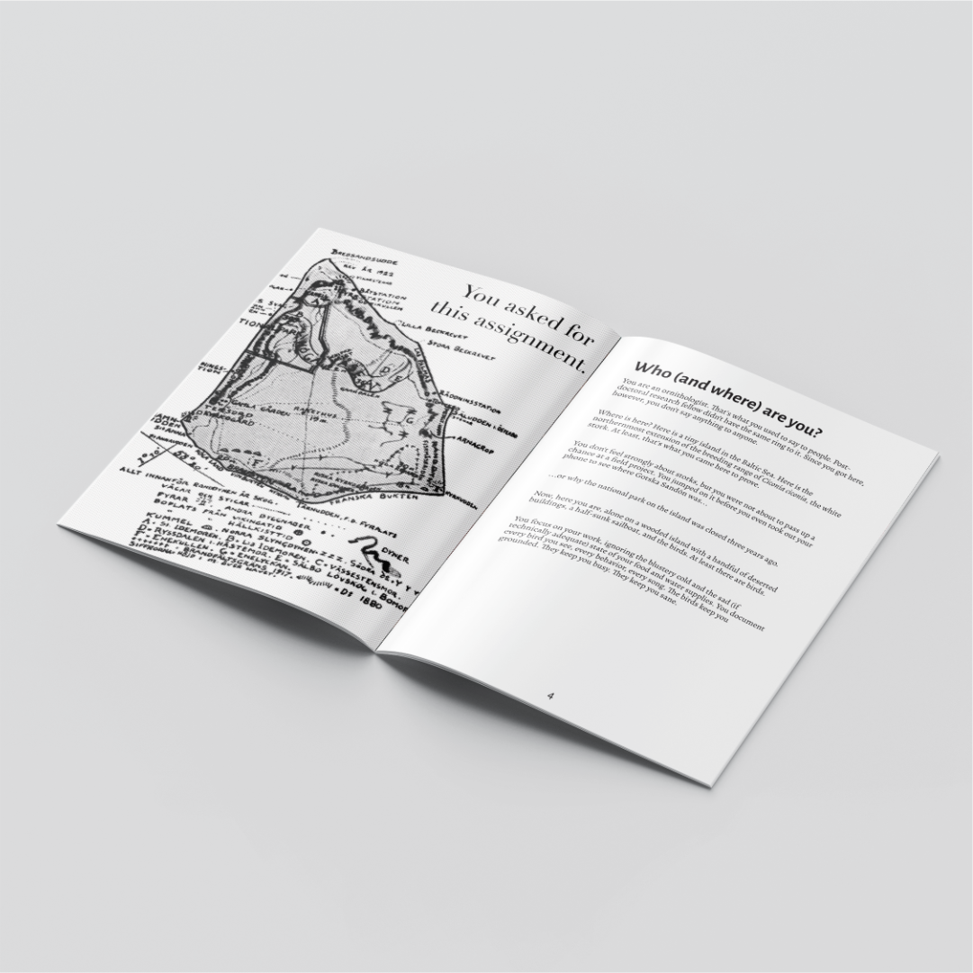 Stork Raven Madge - Island Survival Solo Journaling Roleplaying Game