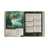 Legend in the Mist - Corebook