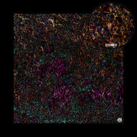 Mats by Mars: Mushroom Forest Tabletop Wargaming Play Mat