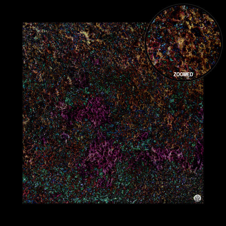 Mats by Mars: Mushroom Forest Tabletop Wargaming Play Mat