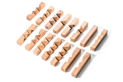 Locked Bricks Construction Puzzle