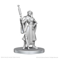 Critical Role Miniatures: Beauregard Lionett & Caleb Widogast - Wave 26