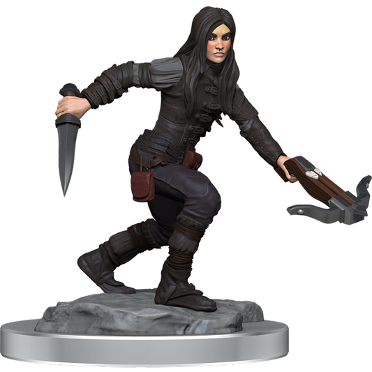 D&D Nolzur's Marvelous Miniatures: Half-Elf Rogue Female