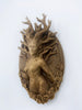 Dryad Wall Plaque, Hand Painted Resin Sculpture | Mythic Forest Creature Wall Art | Woodland Goddess Wall Plaque for Nature Lovers