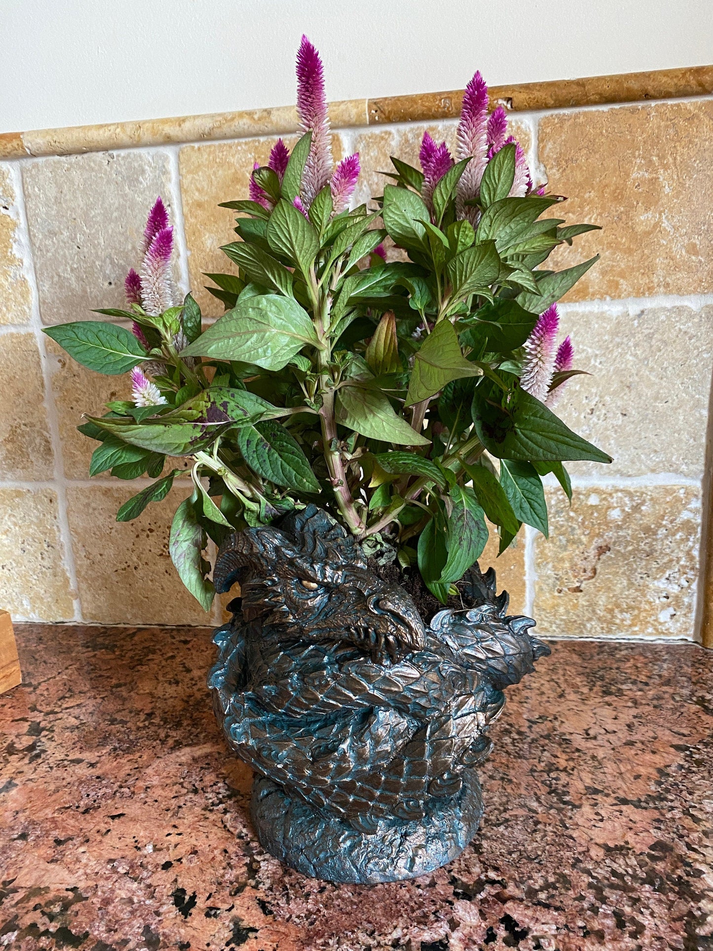 Coiled Dragon Planter, Large Version |  Unique Mythic Creature Home Decor | Resin Sculpture Snake Vase, Fantasy Art and Gothic Home Decor