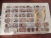 Versatile RPG Tiles and Tokens for Gamers