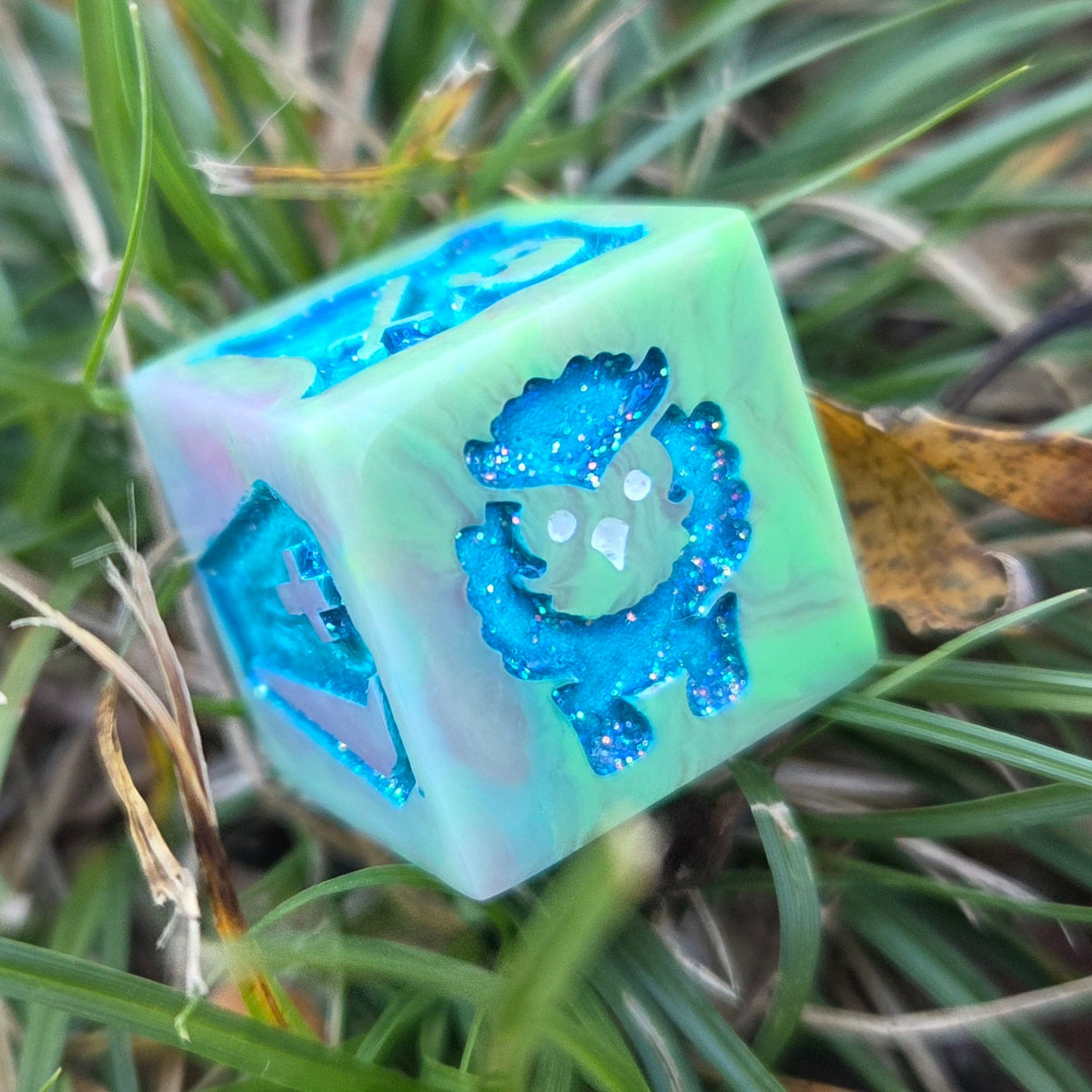 Dungeon Master DM Random Creature/Monster Encounter 20mm Oversized D6 TTRPG Gaming Dice