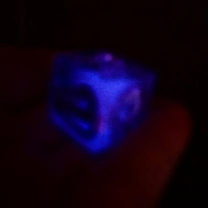 Dungeon Master DM Random Creature/Monster Encounter 20mm Oversized D6 TTRPG Gaming Dice