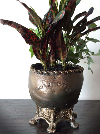 Human Skull Planter Bronze Finish, Hand Painted Resin Sculpture | Unique Gothic Home Decor | Spooky Art Gift and Gothic Home Decor
