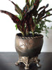 Human Skull Planter Bronze Finish, Hand Painted Resin Sculpture | Unique Gothic Home Decor | Spooky Art Gift and Gothic Home Decor