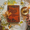 Jane Austen Quote Leather Journal - "Important Nothings"