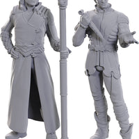 D&D: Nolzur's Marvelous Miniatures - Special Edition Baldur's Gate 3 - Gale & Astarion