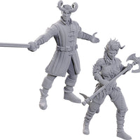 D&D: Nolzur's Marvelous Miniatures - Special Edition Baldur's Gate 3 - Wyll & Karlach