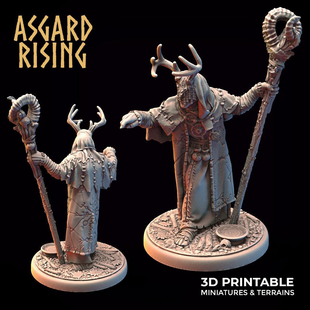 3D Printed Asgard Rising Hofgothi Shaman Seer Wizard | 32mm D&D