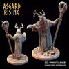 3D Printed Asgard Rising Hofgothi Shaman Seer Wizard | 32mm D&D