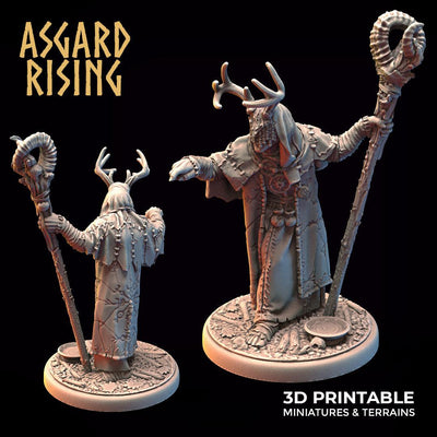3D Printed Asgard Rising Hofgothi Shaman Seer Wizard | 32mm D&D