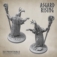 3D Printed Asgard Rising Hofgothi Shaman Seer Wizard | 32mm D&D
