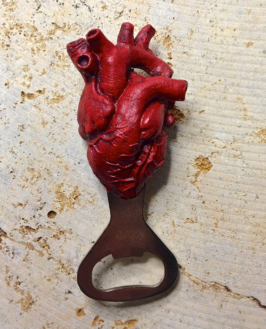 Anatomical Heart Bottle Opener, Hand Painted Resin | Gothic Medical Decor, Anatomy Heart Bottle Opener |Fantasy Gothic Beer and Barware Gift