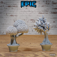 Eastern Temple Scatter - Bonzai