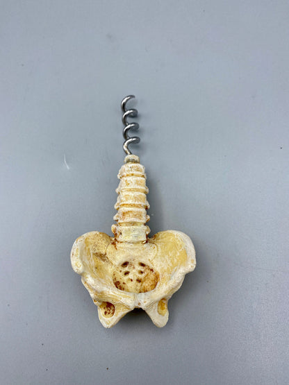 Spine and Pelvis Corkscrew, Hand Painted Resin | Gothic Medical Decor, Anatomy Spinal Cork Screw |Fantasy Gothic Wine and Barware Gift