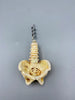 Spine and Pelvis Corkscrew, Hand Painted Resin | Gothic Medical Decor, Anatomy Spinal Cork Screw |Fantasy Gothic Wine and Barware Gift