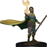 D&D: Icons of the Realms - Elf Female Druid