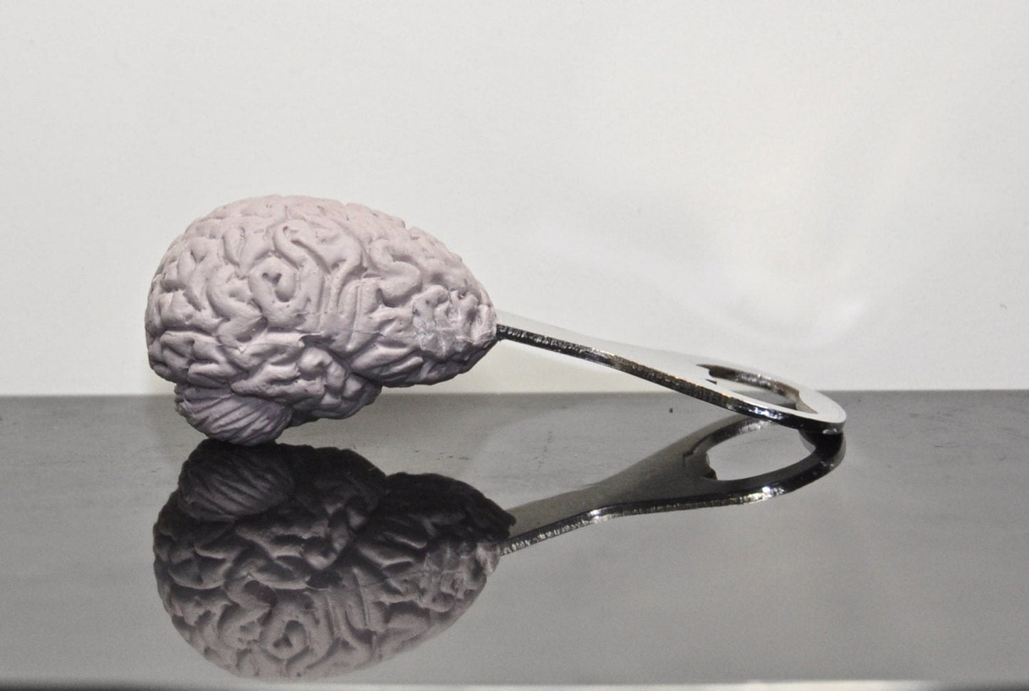 Brain Bottle Opener, Hand Painted Resin | Gothic Medical Decor, Anatomy Brain Bottle Opener |Fantasy Gothic Wine and Barware Gift