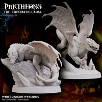 Wyrmling White Dragon