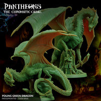 Young Green Dragon