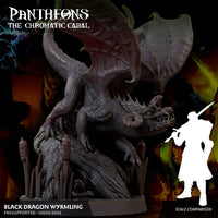 Wyrmling Black Dragon