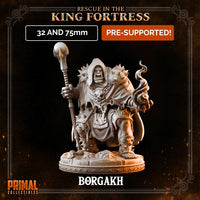 Orc Spellcaster Borgakh