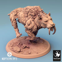 Saber-Toothed Tiger, Gelidus