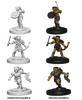 D&D Nolzur's Marvelous Miniatures: Goblins